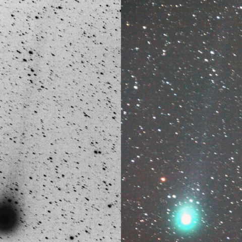 500mmによるラブジョイ彗星