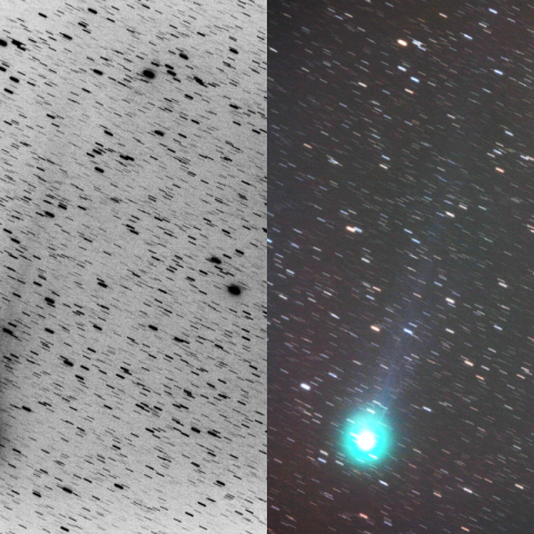 500mmによるラブジョイ彗星