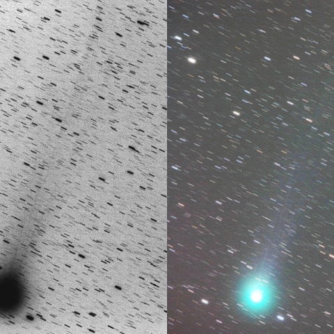 500mmによるラブジョイ彗星
