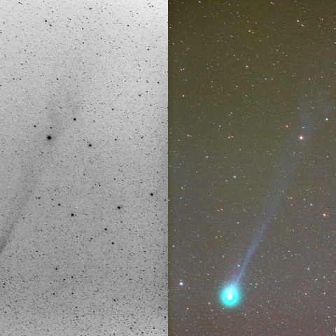 300mmによるラブジョイ彗星