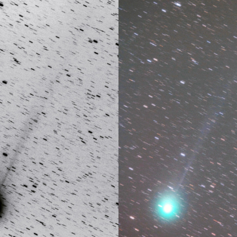 500mmによるラブジョイ彗星