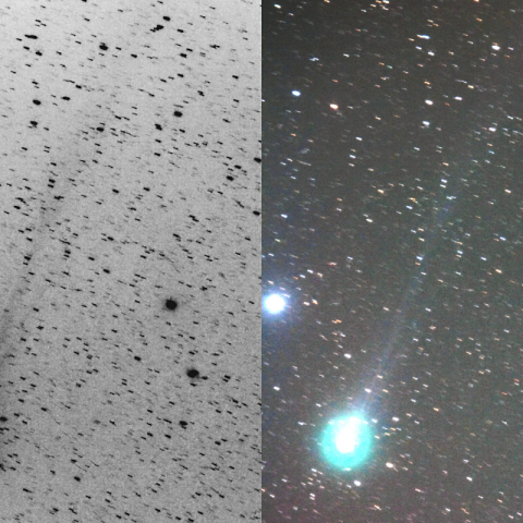 500mmによるラブジョイ彗星
