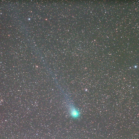 300mmによるラブジョイ彗星