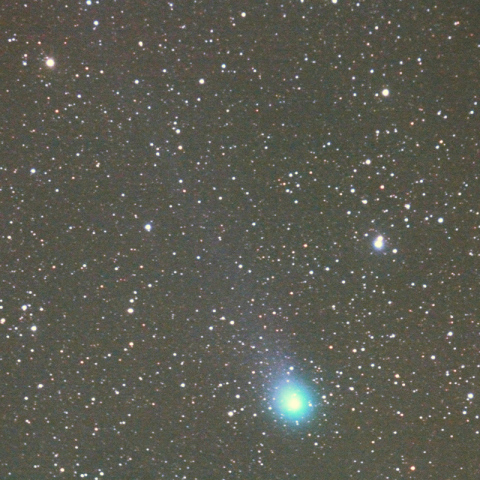 500mmによるラブジョイ彗星