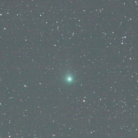 500mmによるラブジョイ彗星