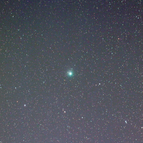 300mmによるラブジョイ彗星