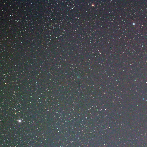 300mmによるスワン・星明彗星（C/2015 F5）