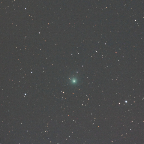 500mmによるラブジョイ彗星