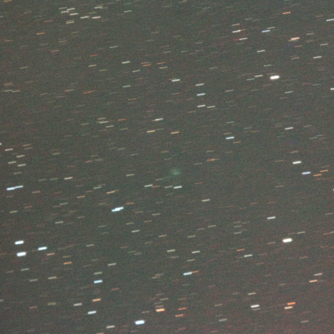 500mmによるスワン・星明彗星