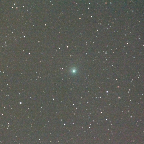 500mmによるラブジョイ彗星
