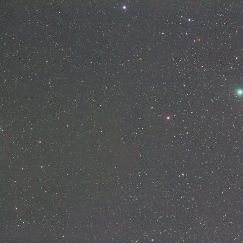 300mmによるラブジョイ彗星(ガイド撮影)