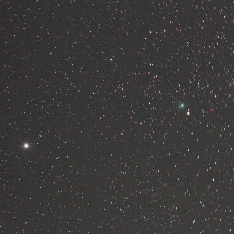 180mmによるラブジョイ彗星（固定撮影）