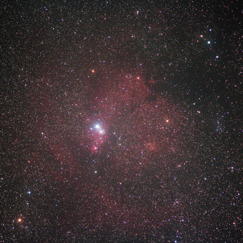 No.15／15　クリスマスツリー星団＆コーン星雲