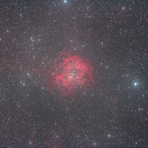 No.14／15　バラ星雲