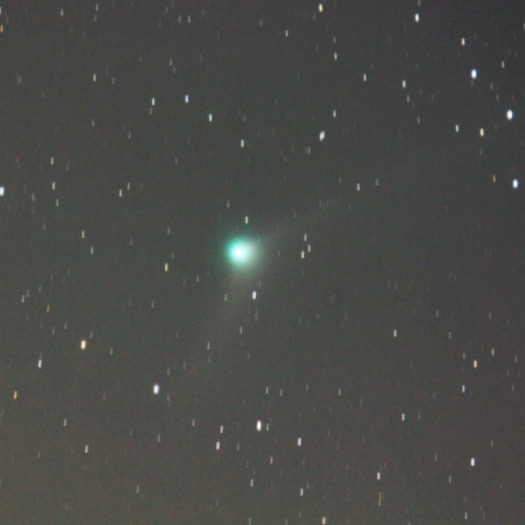 500mmによるカタリナ彗星