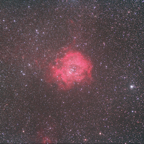 No.2／5　バラ星雲