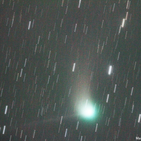 500mmによるカタリナ彗星