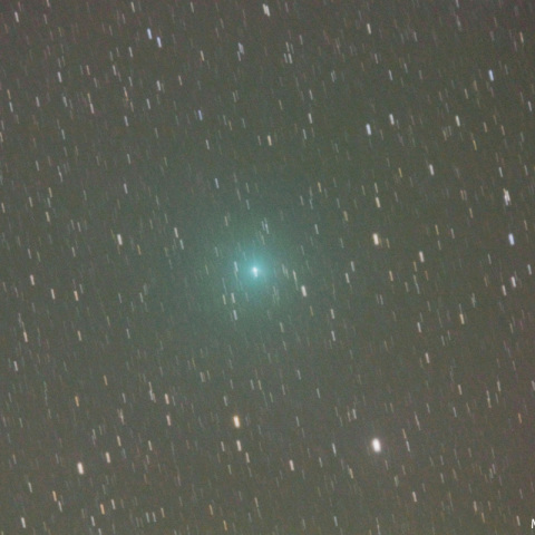 500mmによるリニア彗星（252P）