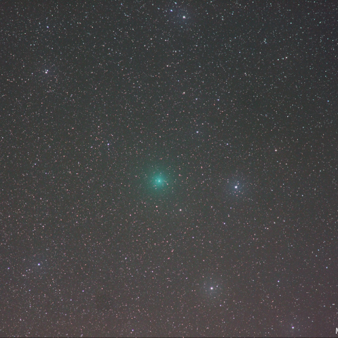 180mmによるリニア彗星（252P）