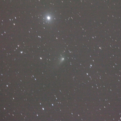 500mmによるパンスターズ彗星（C2014 S2）