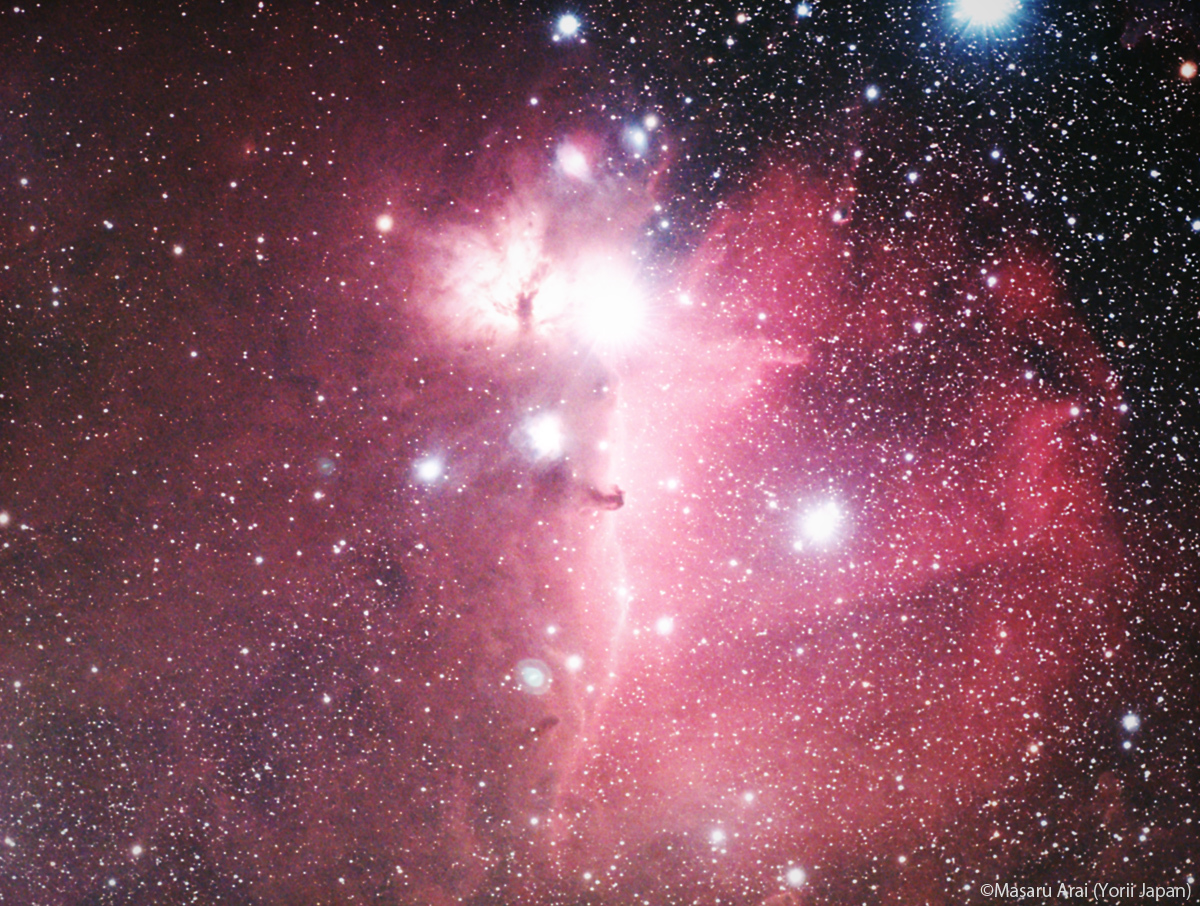 35193: 冷却カラーCMOSカメラによる馬頭星雲 by 新井優 - 天体写真