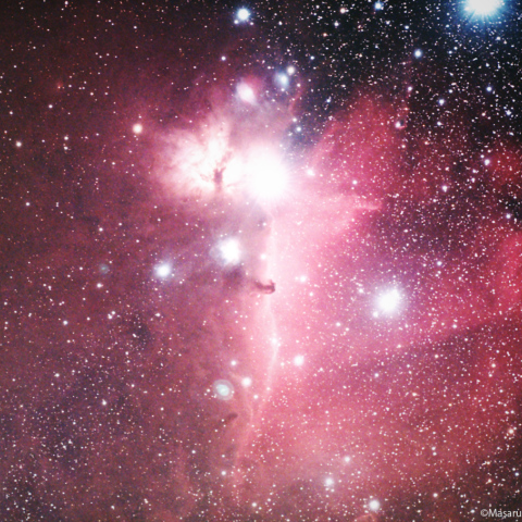 冷却カラーCMOSカメラによる馬頭星雲