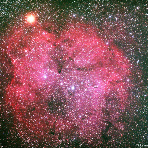 冷却カラーCMOSカメラによる IC1396