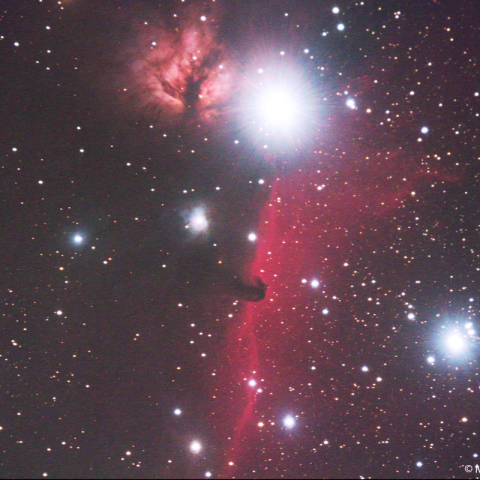 ミラーレンズによる馬頭星雲