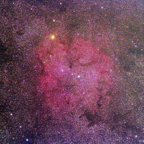 180mmによるIC1396