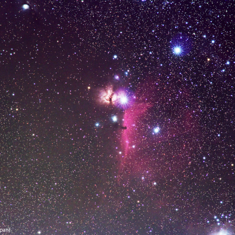 180mmによる馬頭星雲