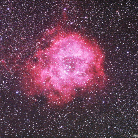 冷却カラーCMOSカメラによるバラ星雲