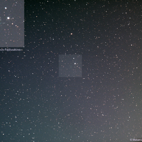 300mmによる本田・ムルコス・パイドゥシャーコヴァー彗星