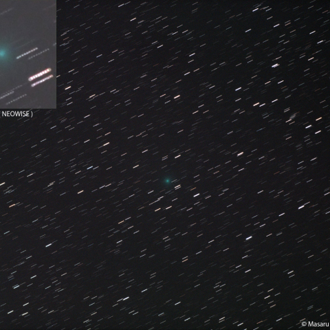 300mmによるネオワイズ彗星