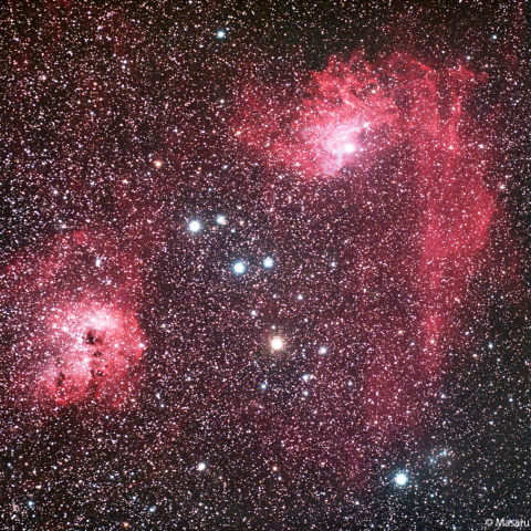 冷却カラーCMOSカメラによる勾玉星雲