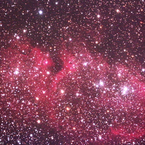 ミラーレンズによるIC1848(胎児星雲)