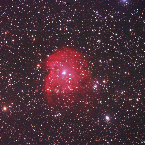 ミラーレンズによるモンキーフェイス星雲