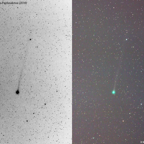 300mmによる本田・ムルコス・パイドゥシャーコヴァー彗星