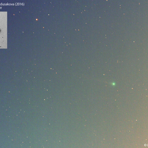 1月11日夕刻の本田・ムルコス・パイドゥシャーコヴァー彗星