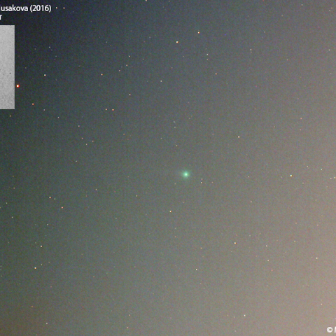 1月12日夕刻の本田・ムルコス・パイドゥシャーコヴァー彗星