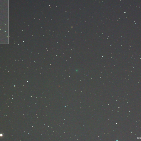 １月31日夕刻のエンケ彗星