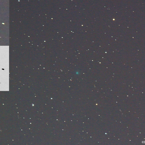 ２月１日夕刻のエンケ彗星