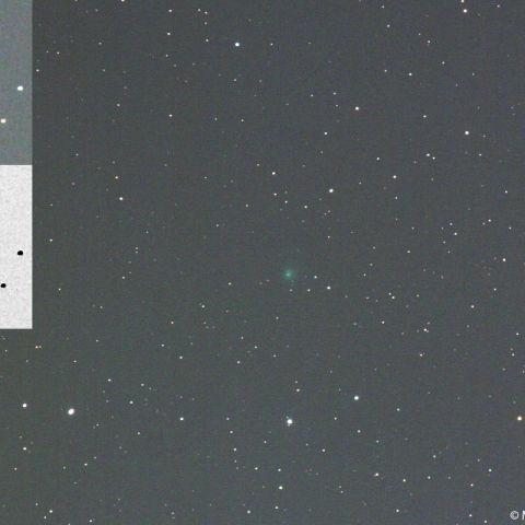 2月2日夕刻のエンケ彗星