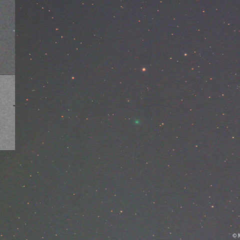 2月6日夕刻のエンケ彗星