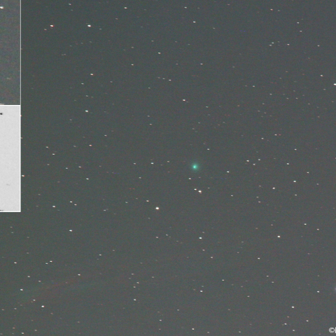 2月14日夕刻のエンケ彗星