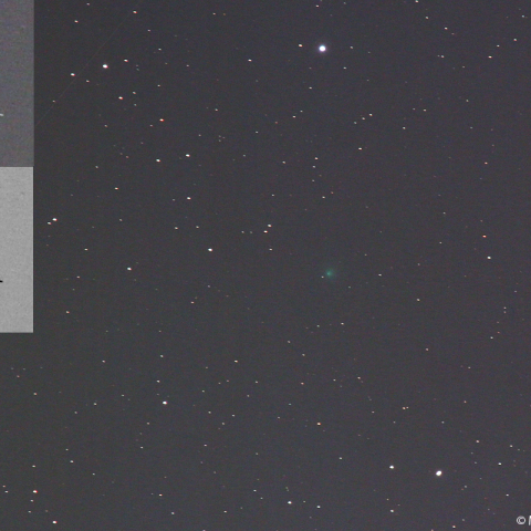 2月4日夕刻のエンケ彗星