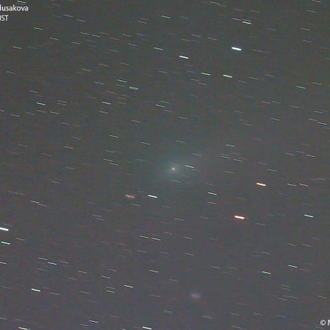 2月21日の本田・ムルコス・パイドゥシャーコヴァー彗星