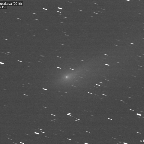 2月24日の本田・ムルコス・パイドゥシャーコヴァー彗星
