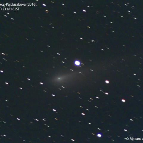 3月3日の本田・ムルコス・パイドゥシャーコヴァー彗星
