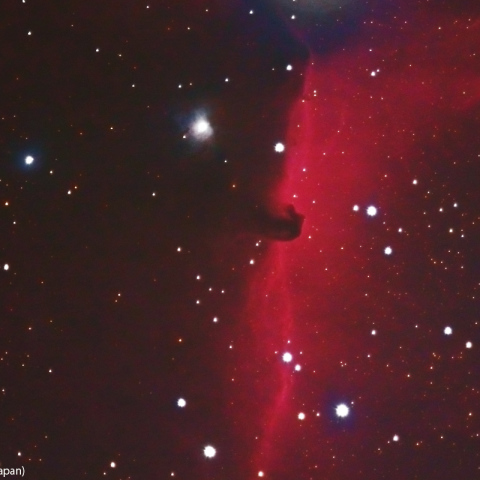 300mmLRGB合成による馬頭星雲