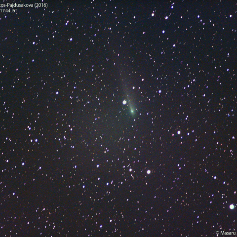 300ｍｍによる本田・ムルコス・パイドゥシャーコヴァー彗星